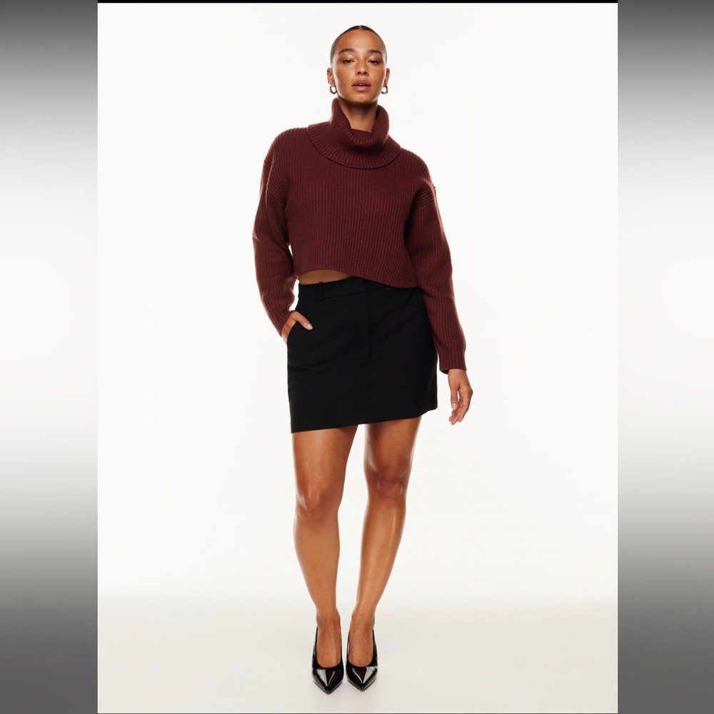 Aritzia Babaton Guell Sweater